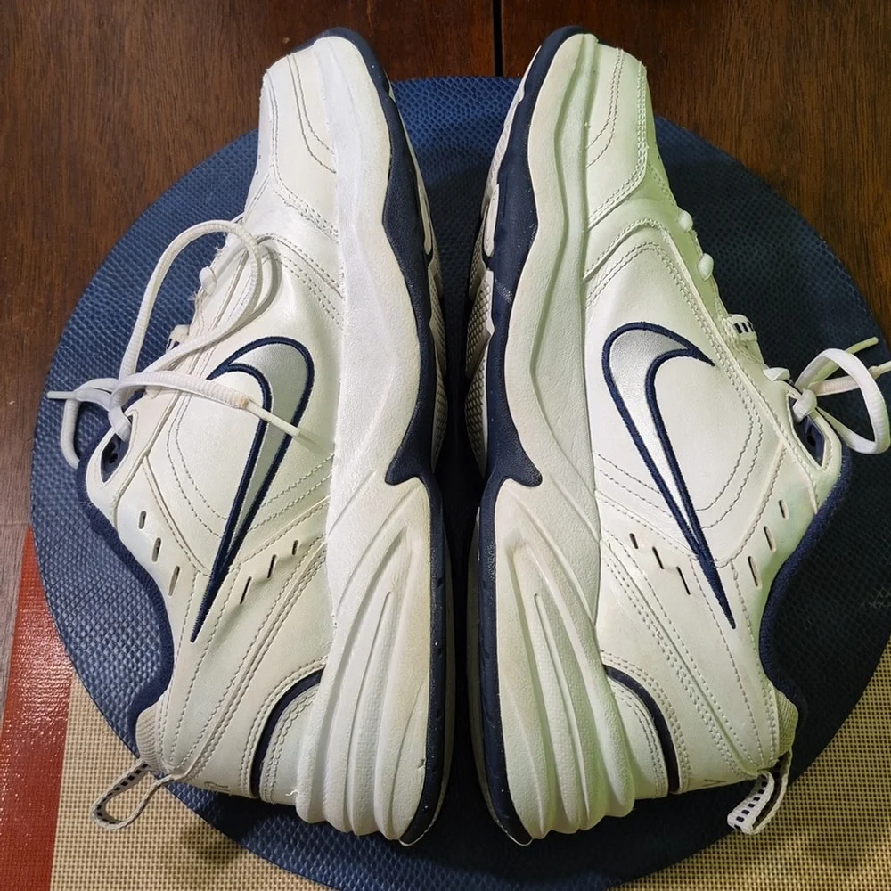 Nike cushioned monarch